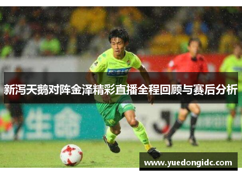 新泻天鹅对阵金泽精彩直播全程回顾与赛后分析